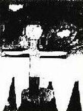 Birdflesh : The Butcherbitchtape